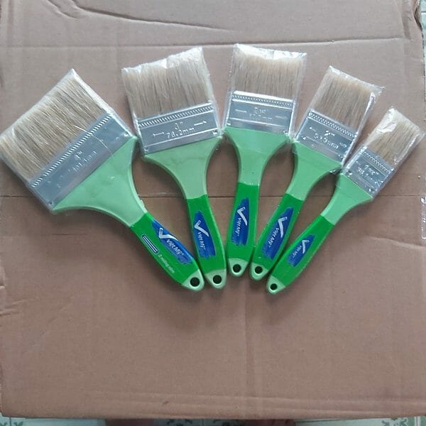 Cọ sơn ở Bà Rịa Vũng Tàu